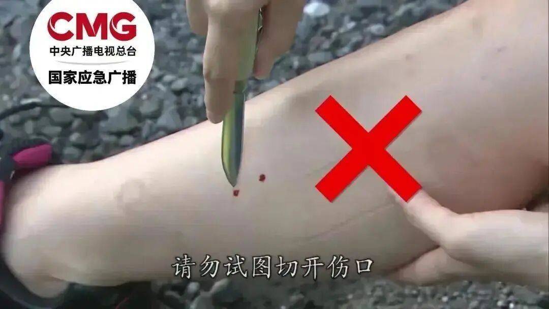 女子半夜上厕所<strong></p>
<p>国家虚拟人民币</strong>，马桶里突然窜出一条蛇！