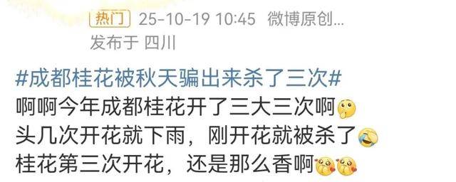 成都桂花又开了<strong></p>
<p>国家虚拟人民币</strong>？原来是因为……