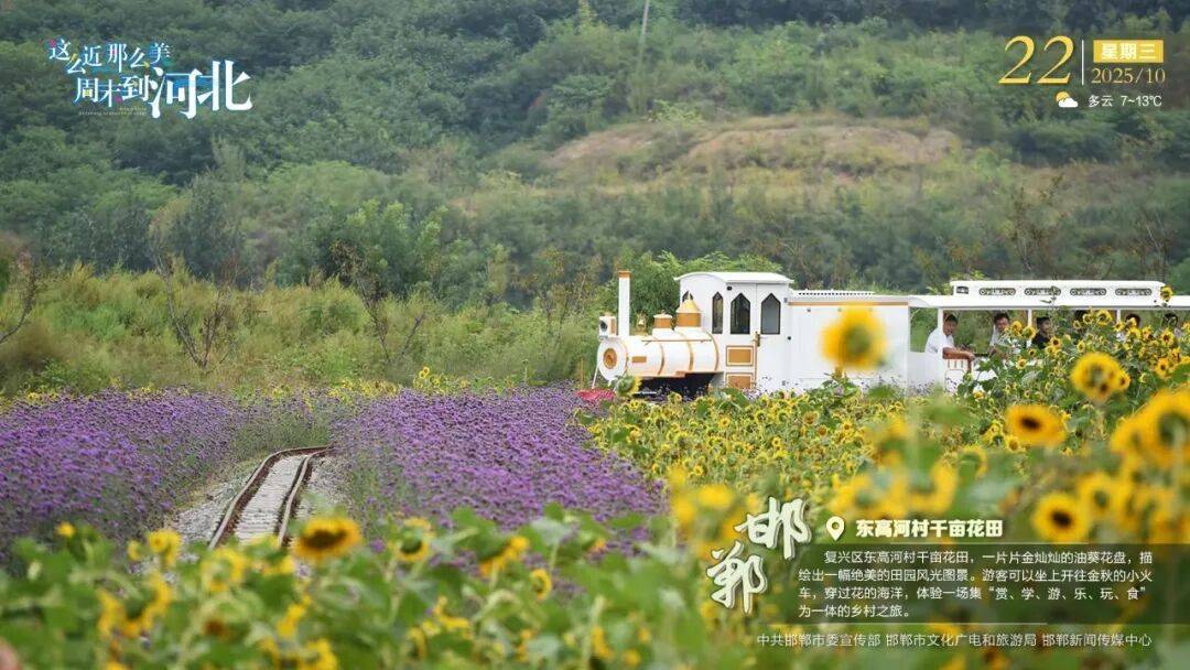 “人工智能+”行动<strong></p>
<p>币安怎么样虚拟币充话费</strong>！河北最新发布