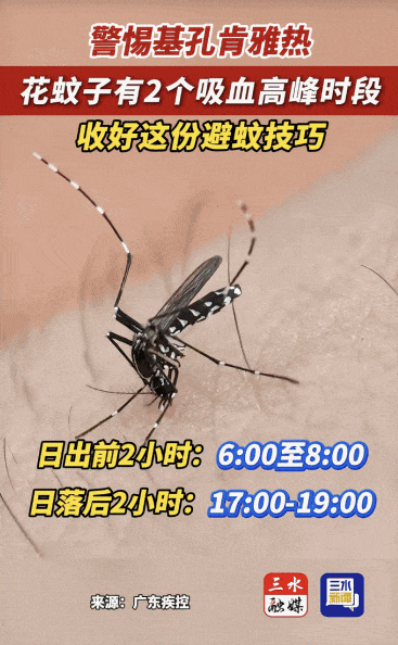涉学校、公园、城中村<strong></p>
<p>币安怎么样虚拟币充话费</strong>！深圳官方最新公布“黑窝点”