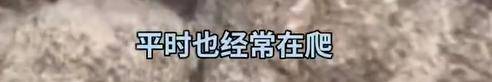 女子穿7cm高跟鞋、纱裙爬山<strong></p>
<p>虚拟币的经营模式</strong>，不服输选了最难路线登顶