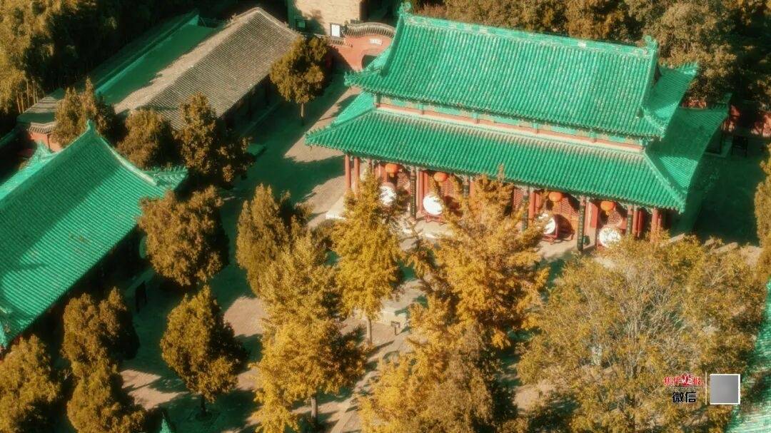 银杏金黄<strong></p>
<p>虚拟币的经营模式</strong>！铺满焦作的秋天！