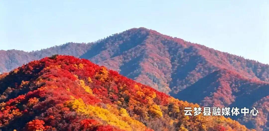 今日霜降