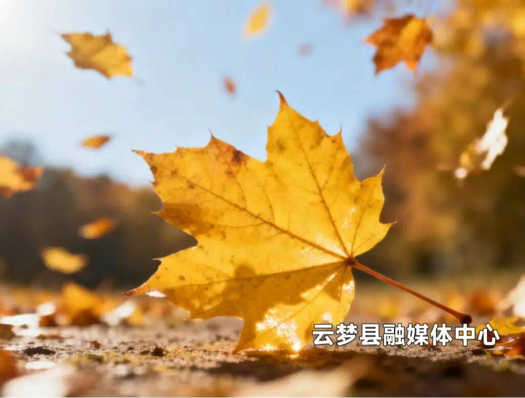 今日霜降