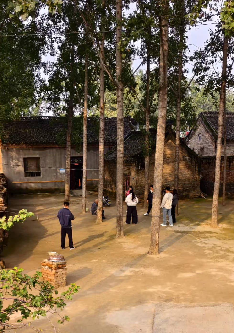 河南一大爷的院子因干净成网红打卡地<strong></p>
<p>招聘虚拟币运营</strong>,网友:像极了小时候家的样子,想拖鞋光脚丫子走