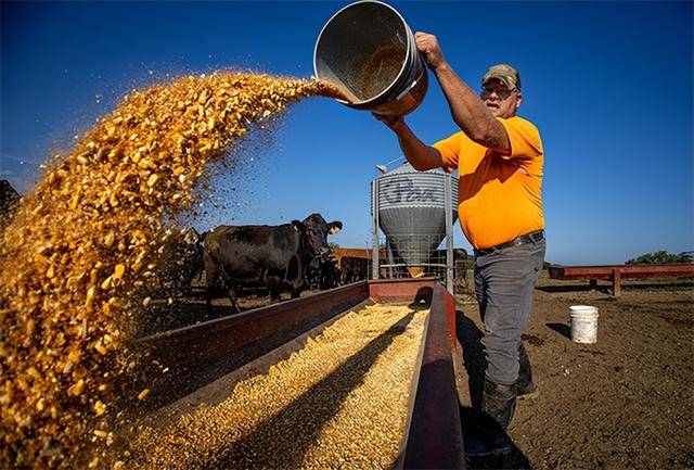 又输给了李成钢<strong></p>
<p>雷达币四虚拟货币</strong>,贝森特承诺:美方不再考虑对华加征100%关税