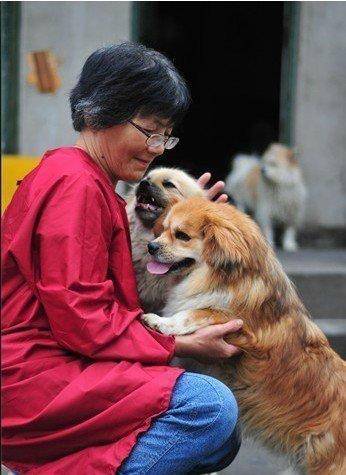 合肥卖房救助流浪狗的魏阿姨离世<strong></p>
<p>虚拟币</strong>,病中仍然惦记着基地的600只流浪狗,工人:不敢相信世上还有这样执着的人