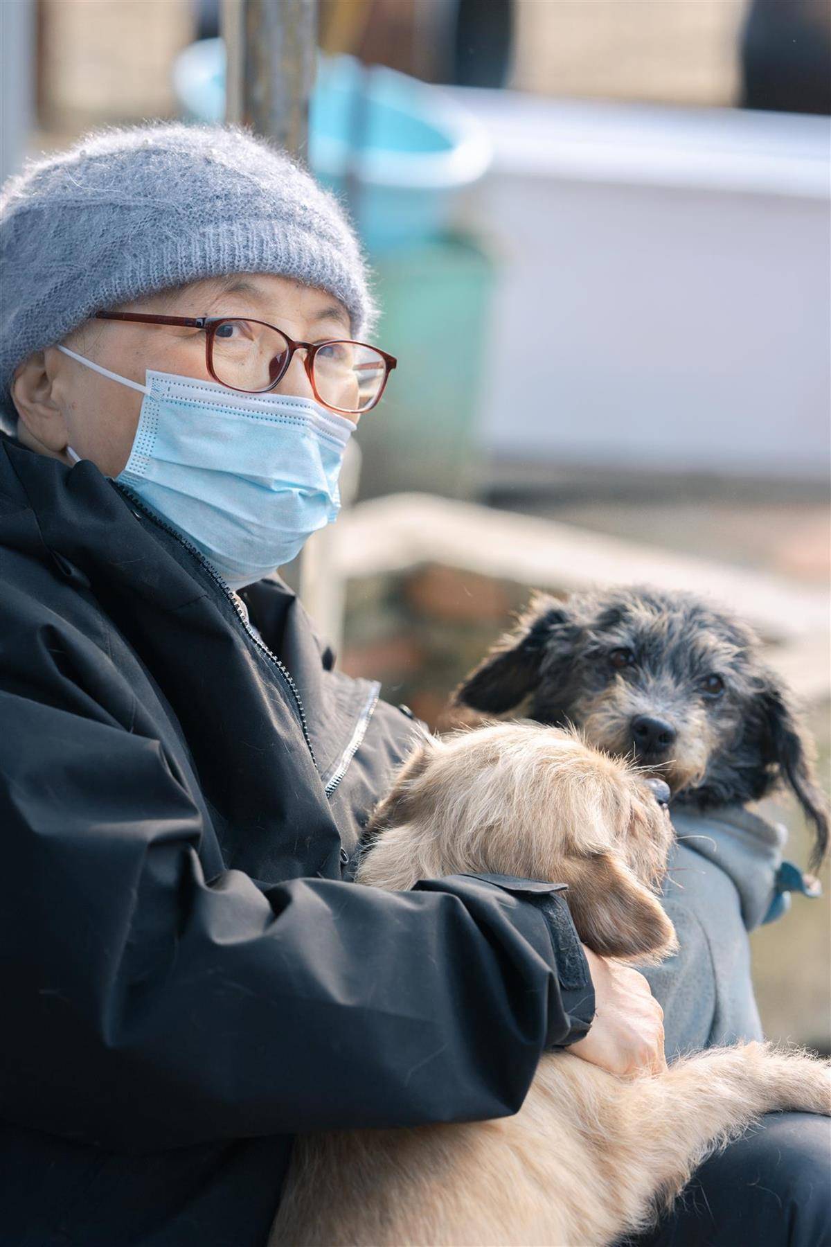 合肥卖房救助流浪狗的魏阿姨离世<strong></p>
<p>虚拟币</strong>,病中仍然惦记着基地的600只流浪狗,工人:不敢相信世上还有这样执着的人