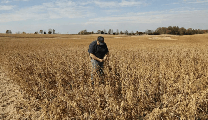 谈妥了又突然变卦!中国复购美国大豆换关税暂停<strong></p>
<p>虚拟币回流</strong>,美贸易代表直接通告全球:继续查中国