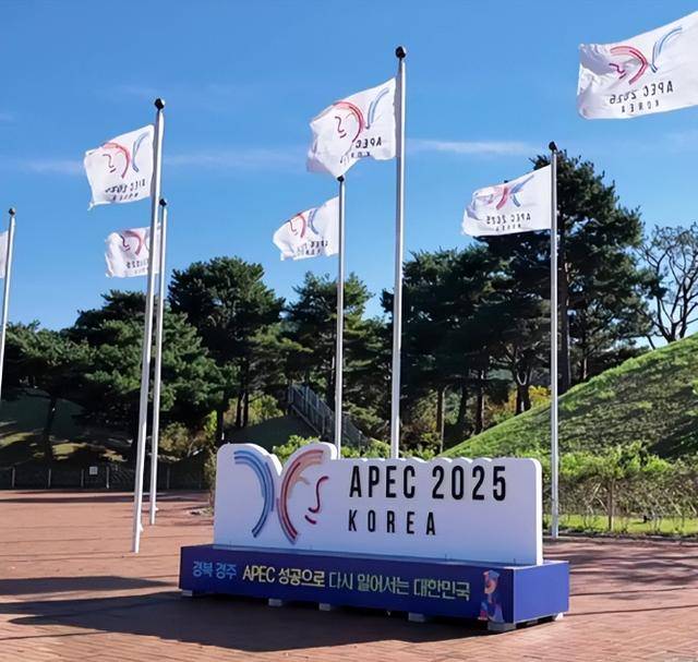 果然飘了:若大陆不作书面保证<strong></p>
<p>虚拟币停止服务怎么办</strong>,台湾将拒绝出席!国台办一句话定调