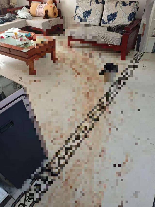 “女子出租屋遭男友持刀杀害”案明日开庭<strong></p>
<p>台湾</strong>,家属发声:凶手从未道歉,我们不会谅解