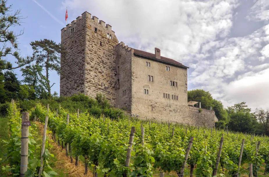 失踪百年的欧洲王室诅咒之钻重现<strong></p>
<p>株洲虚拟币传销</strong>，背后藏着一位忠贞皇后的惊人布局