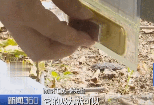 不是慢镜头！福建舰电磁弹射速度那么快<strong></p>
<p>抹茶虚拟币livecoin</strong>，是怎么瞬间刹车的？