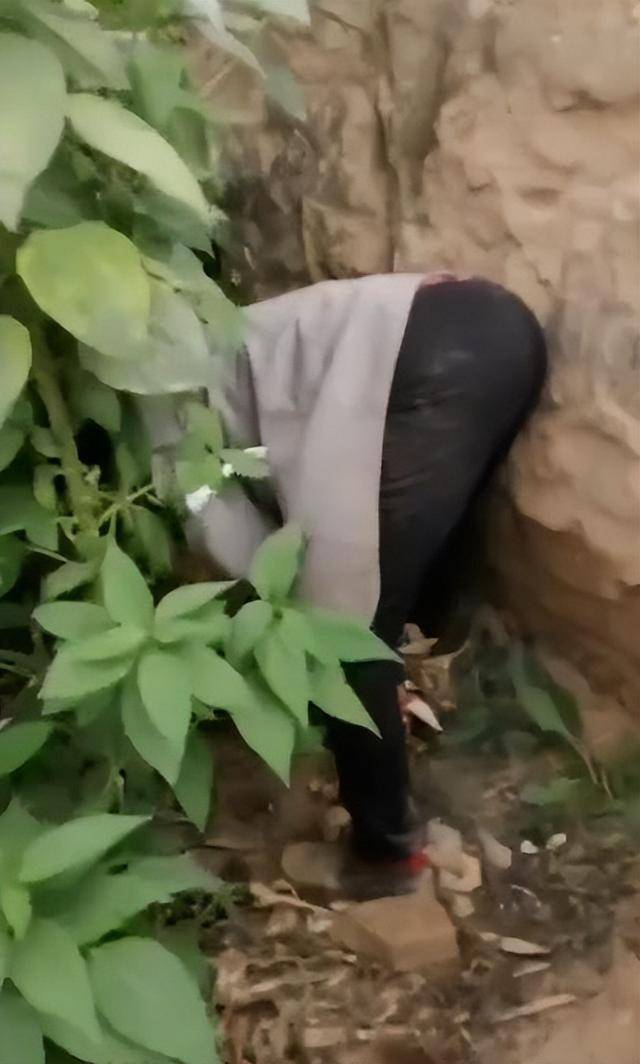 女子疑因拍亲姑姑偷玉米遭姑父棍杀<strong></p>
<p>各种虚拟币币符号</strong>,邻居欲报警也遇害