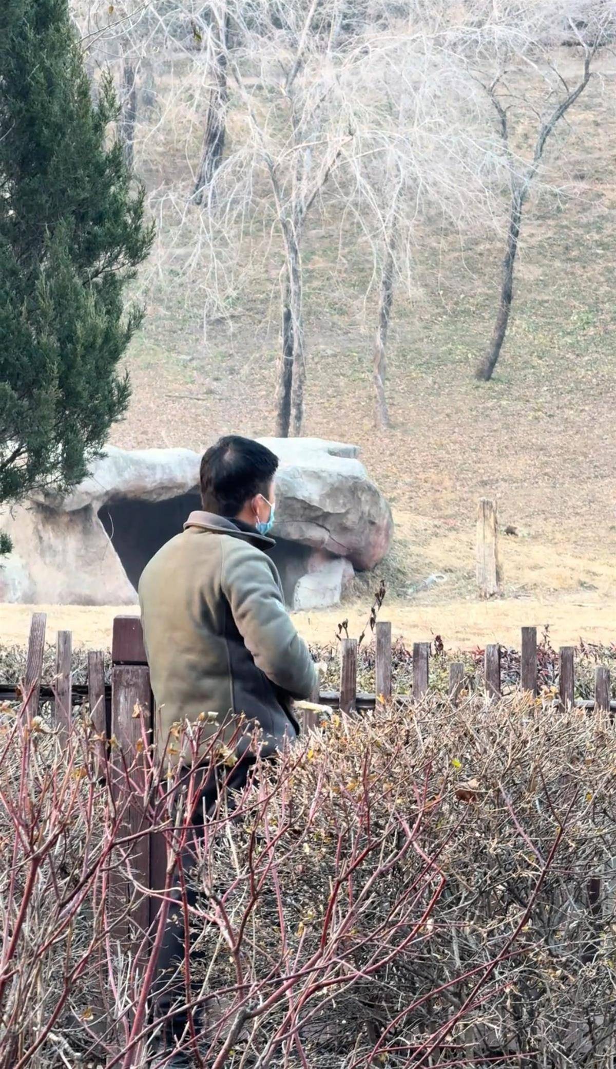沈阳一男子动物园内用弹弓射老虎<strong></p>
<p>2018年虚拟币牛市转熊市</strong>，目击者称其“填装了弹丸”，打完后老虎爬起来了，园方：正在核实情况