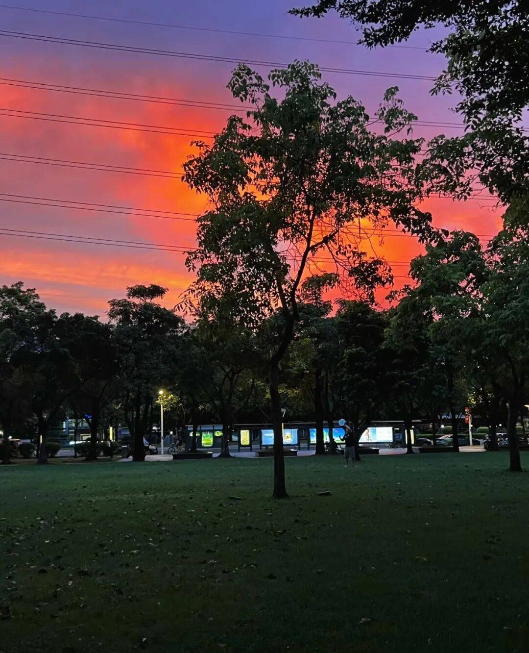 第一批丁克老后<strong></p>
<p>2018年虚拟币牛市转熊市</strong>，“伴侣能陪一程，但最后都要靠自己”