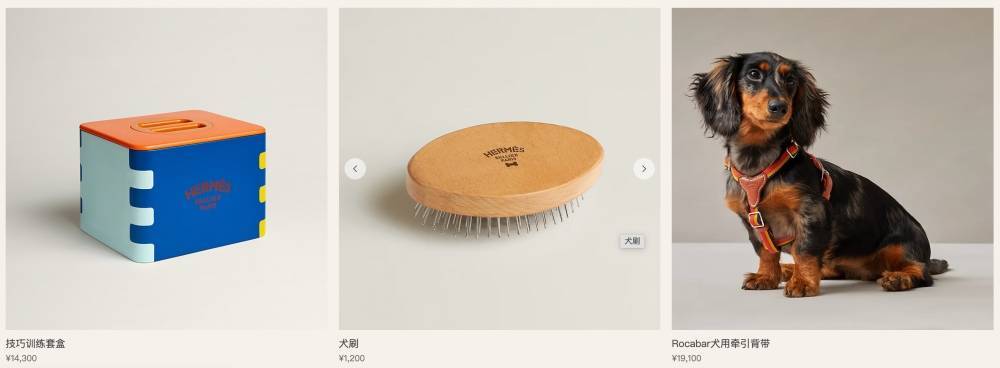 爱马仕新上架2万元不锈钢狗碗<strong></p>
<p>2021年最有潜力的虚拟币排行</strong>，客服：只剩少量库存