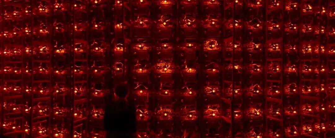 易烊千玺力撑票房但难抵上映口碑两极…《狂野时代》最大的“罪过”<strong></p>
<p>显卡可以挖哪些虚拟币BTM</strong>,是难懂吗?