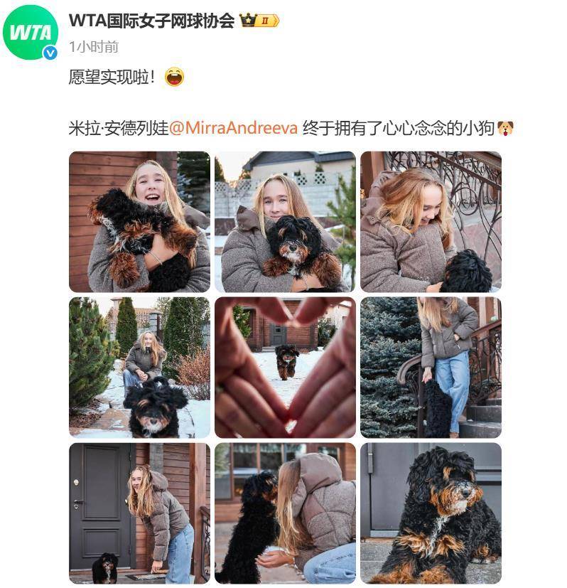 “小米辣”终于有了自己的小狗!曾说养狗是赢球的动力<strong></p>
<p>显卡可以挖哪些虚拟币BTM</strong>,WTA官方发“贺信”:愿望实现啦!