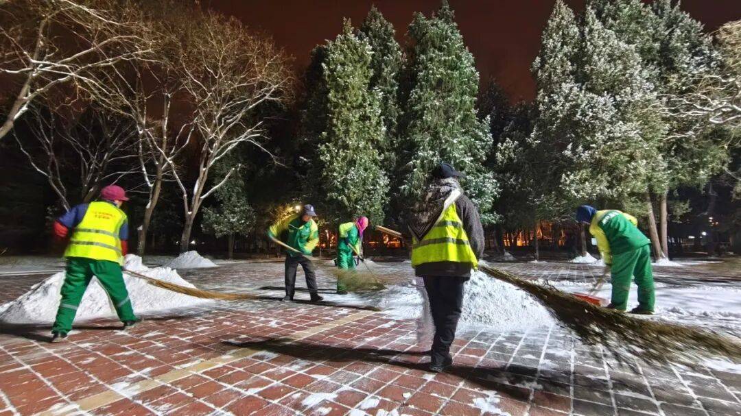 北京绿化带里用了二十年的板子<strong></p>
<p>mci虚拟币</strong>,今冬“下岗”了——