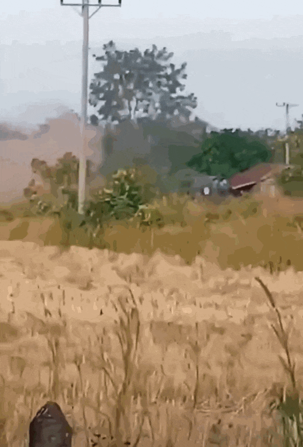 柬埔寨出动PHL-03型300毫米远火<strong></p>
<p>虚拟币被禁后如何操作</strong>,3发火箭弹准确命中泰军据点?