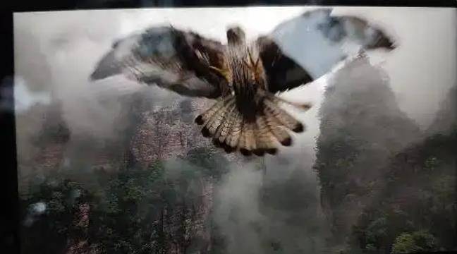 土耳其老鹰空中抓走无人机<strong></p>
<p>个人所得税虚拟币</strong>,带上山顶“玩自拍”