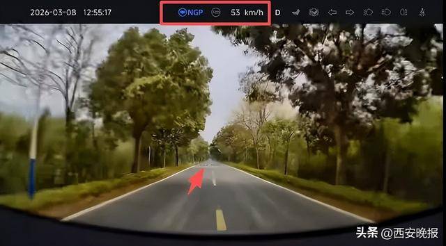 四名儿童排队横躺马路上扮演“减速带”，司机：“远看以为是塑料袋”