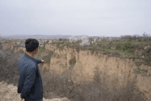 五百块从树农手里买走<strong></p>
<p>买卖虚拟币被判刑吗</strong>，数万、十几万卖到别墅区：一棵老柿树的奇幻漂流