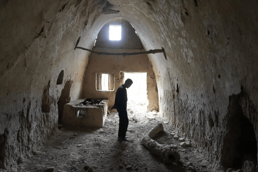 五百块从树农手里买走<strong></p>
<p>买卖虚拟币被判刑吗</strong>，数万、十几万卖到别墅区：一棵老柿树的奇幻漂流