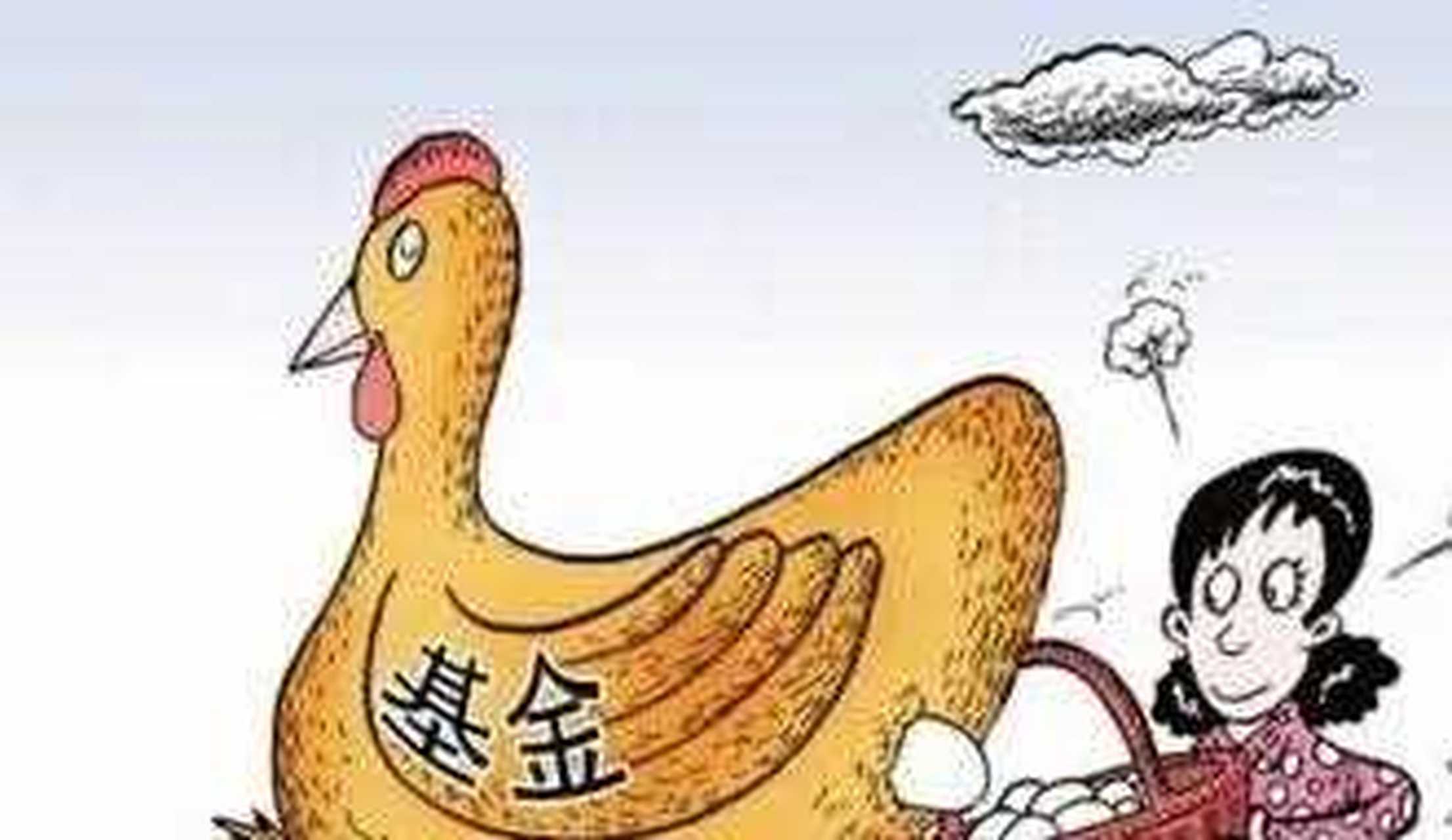 理财心得(证券产品理财心得)
