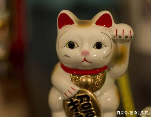 理财猫(理财猫理财)
